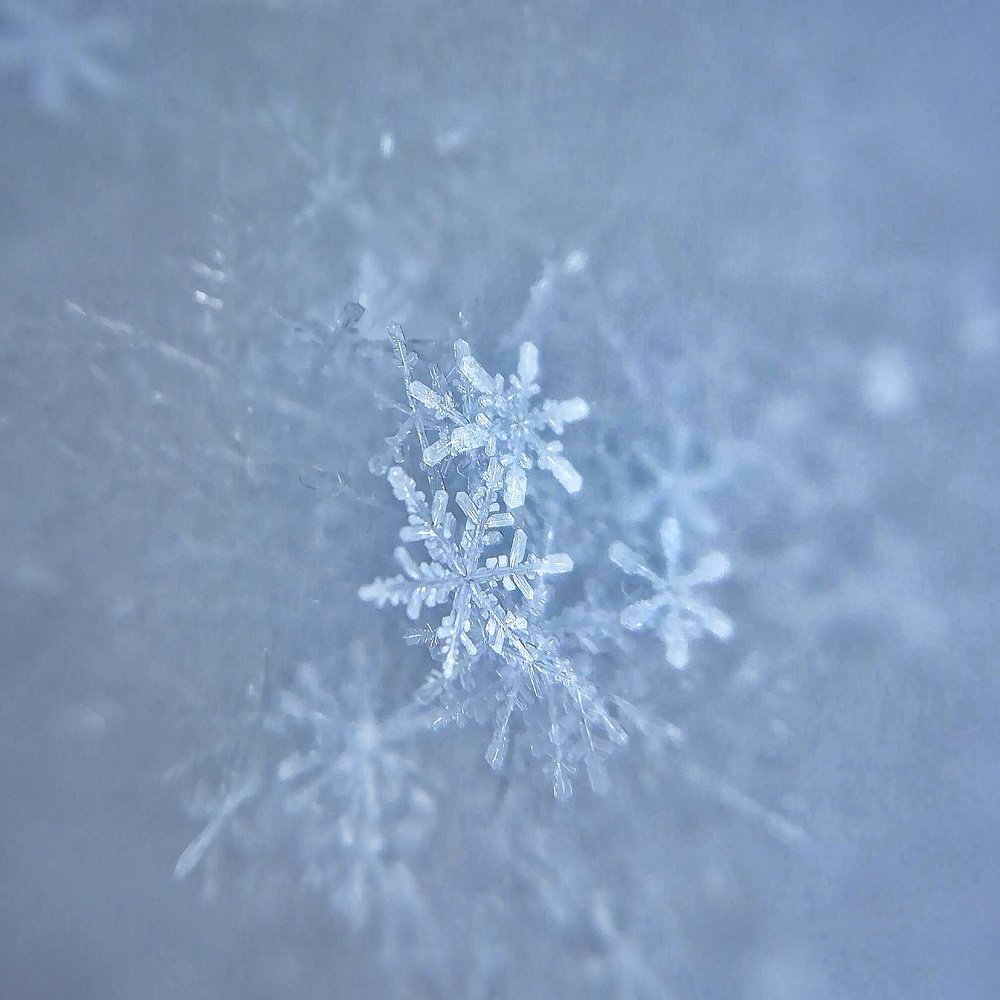 Photograph by Светлана Фладунг