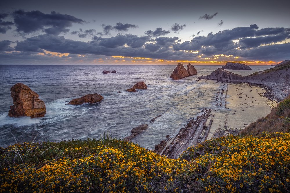 Фотография автора Елена Маковоз