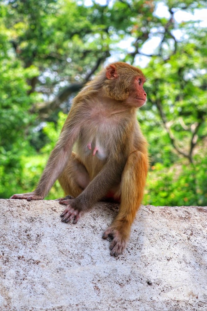 Photograph by Amit Rawal