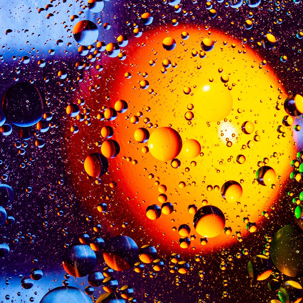 Цивилизация