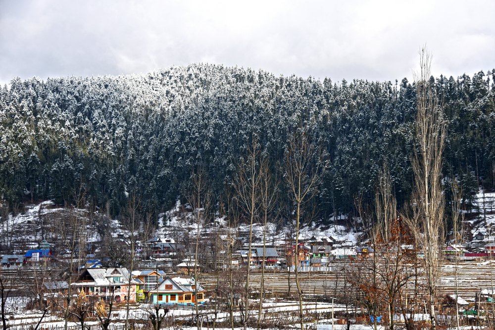 Photograph by anirudha