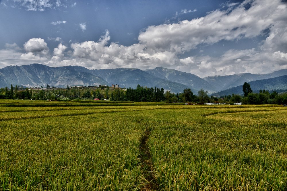 Photograph by anirudha