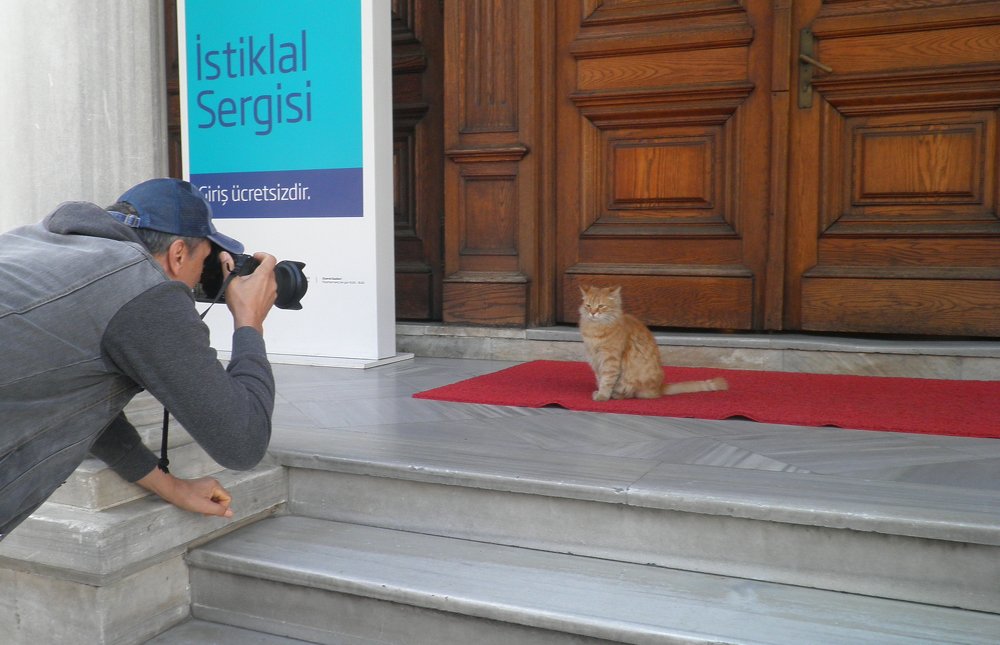 Photograph by Евгений Савельев