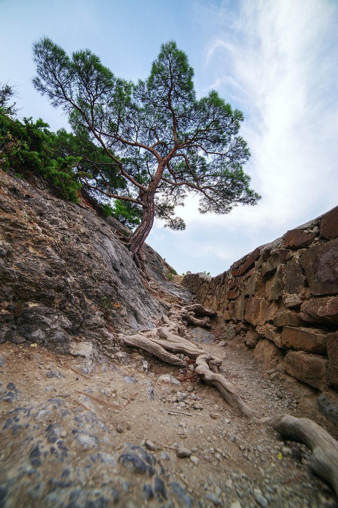 Photograph by Владимир Герасимиди