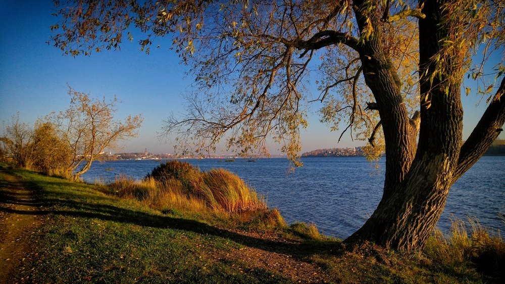 Октябрь на Волге