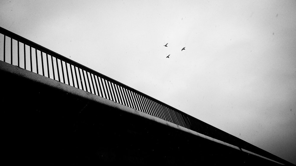 Photograph by Роман Павлов