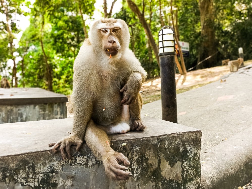 Photograph by Ильдус Шаруков