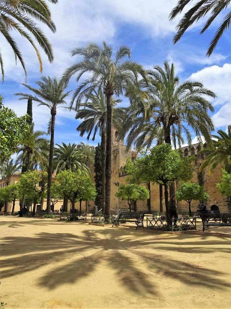 Photograph by Людмила