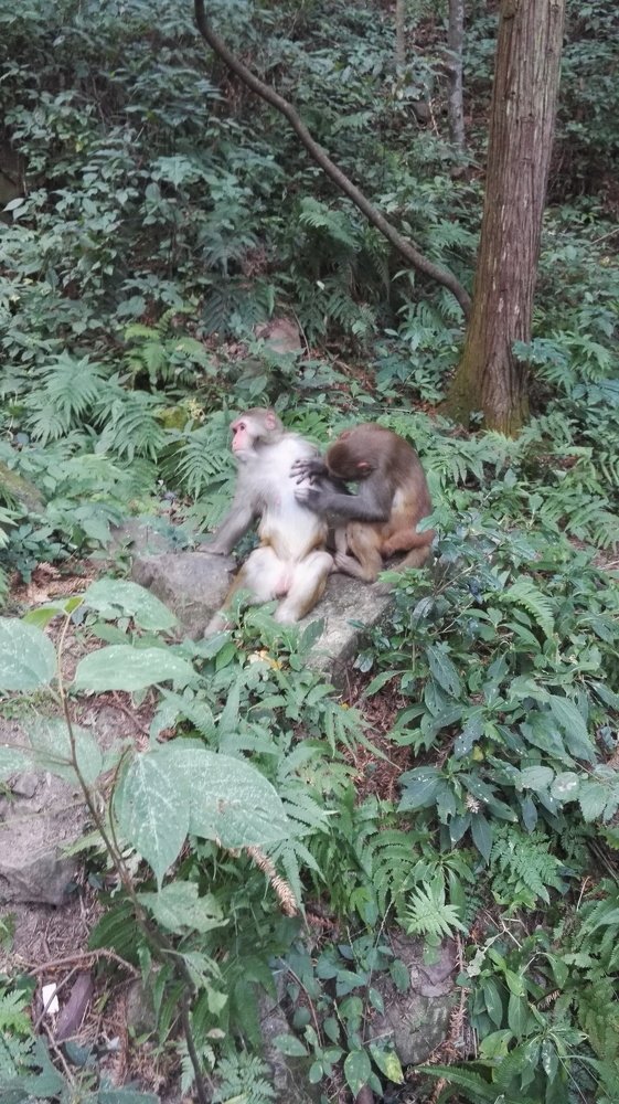 Photograph by Denis Starchikov