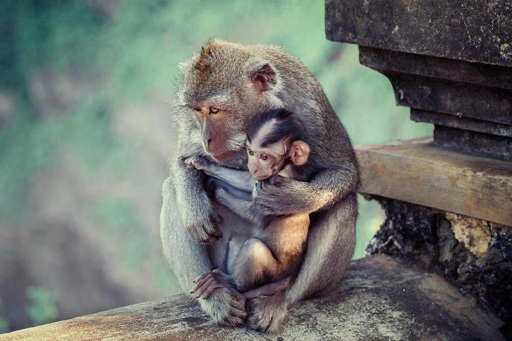 Photograph by Elena Shubina