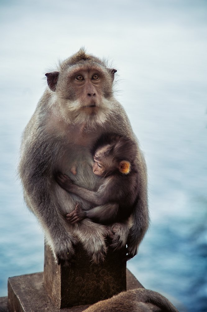 Photograph by Elena Shubina
