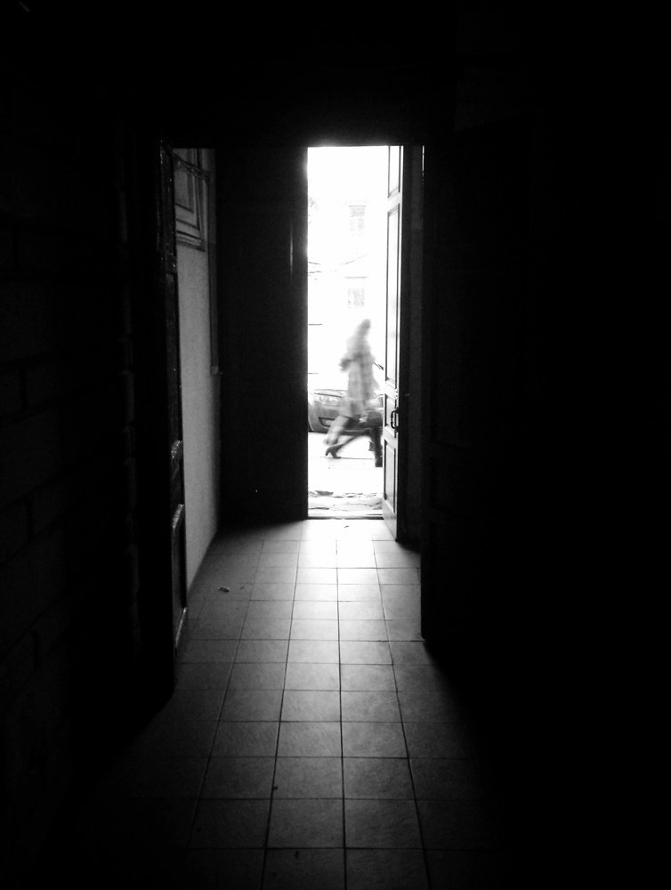 Из тени на свет