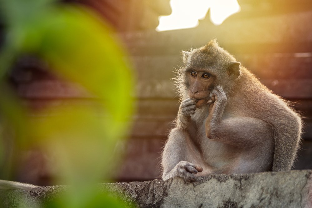 Photograph by Elena Shubina