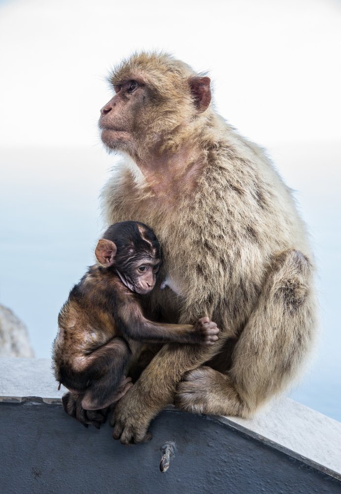 Photograph by Dmitry Utkin