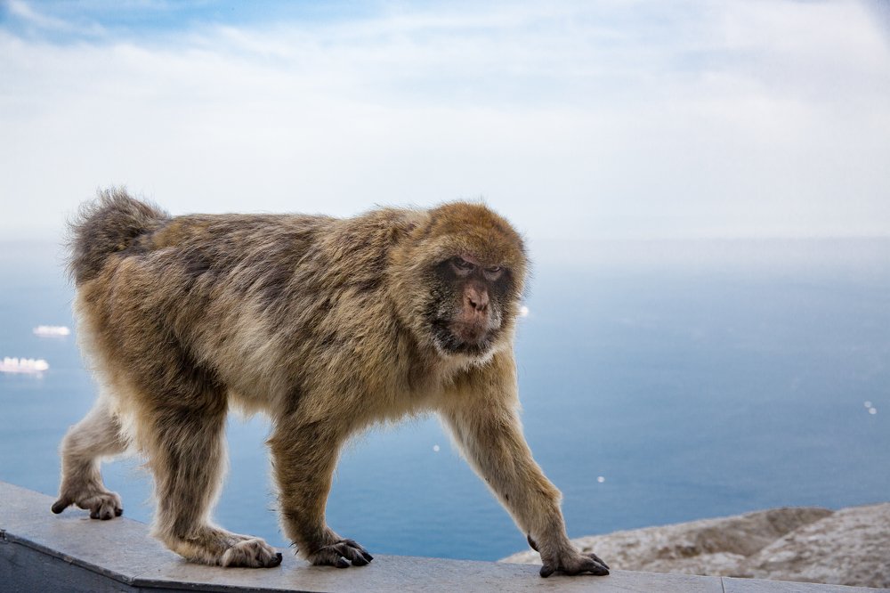 Photograph by Dmitry Utkin