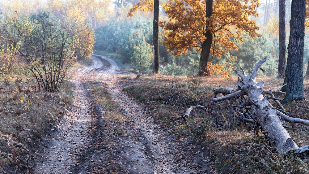 Photograph by Виталий Тимофеев