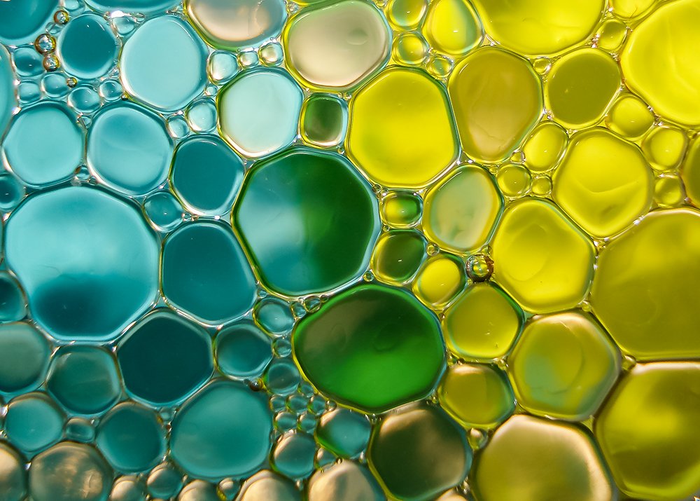 Photograph by linda laredj