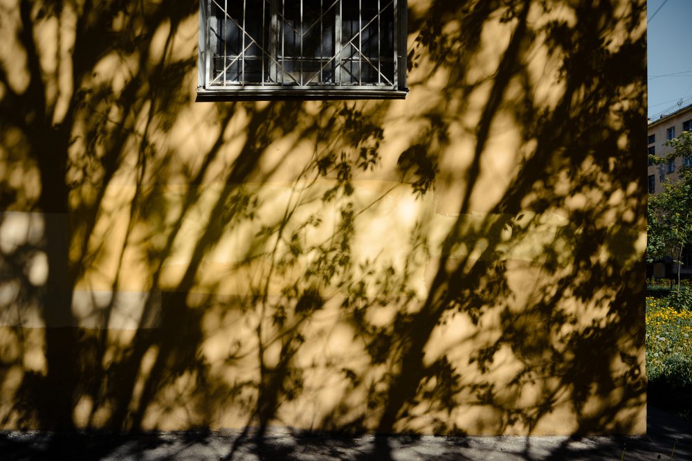 Photograph by Мария Давыдова