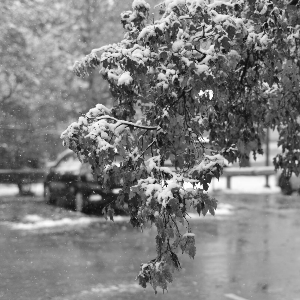 Photograph by Игорь