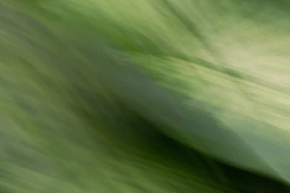 Photograph by Bart Demyttenaere