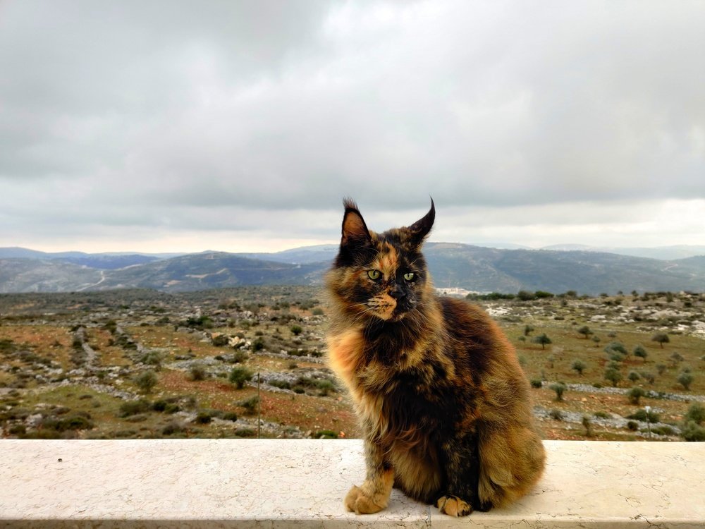 Photograph by Мария Макарова