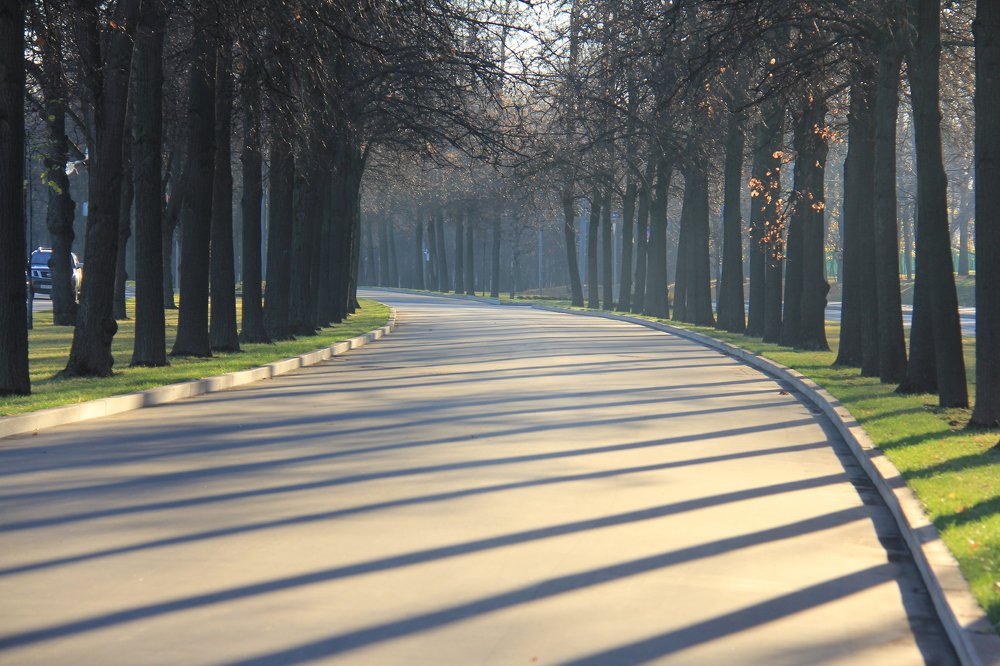 Фотография автора Ирина Солонина