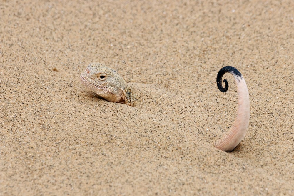 Photograph by Антон Мироненко-Маренков