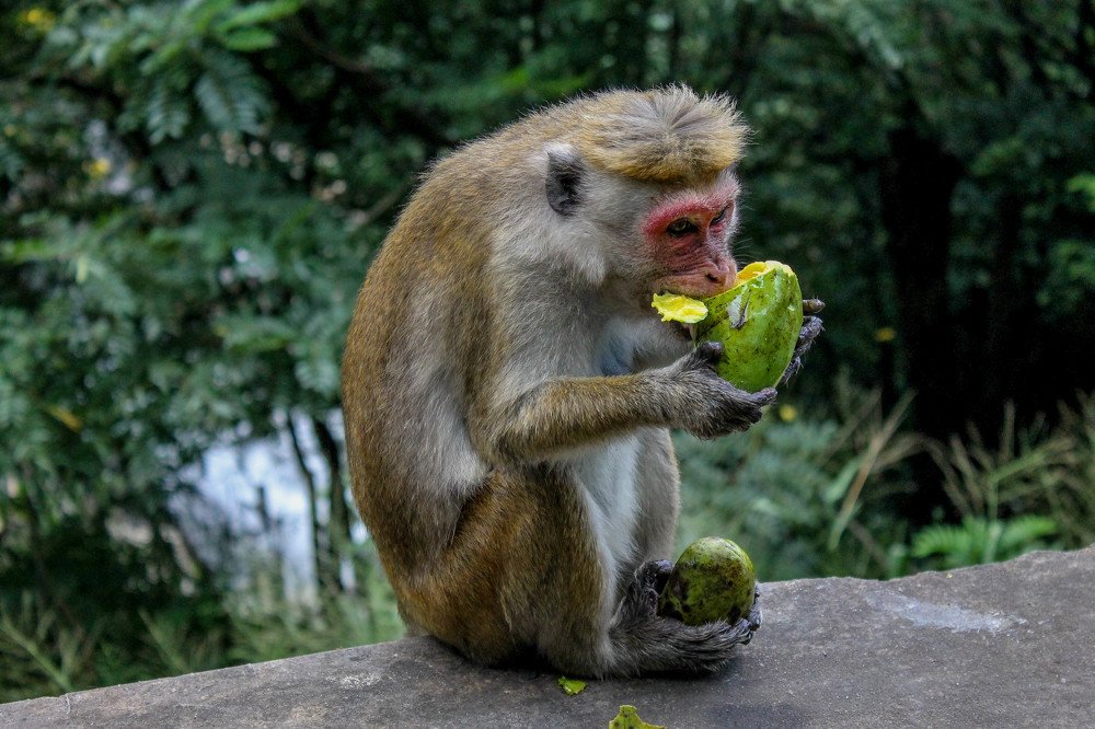 Photograph by Екатерина