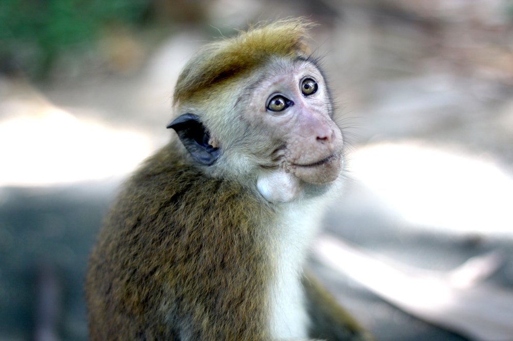 Photograph by Екатерина