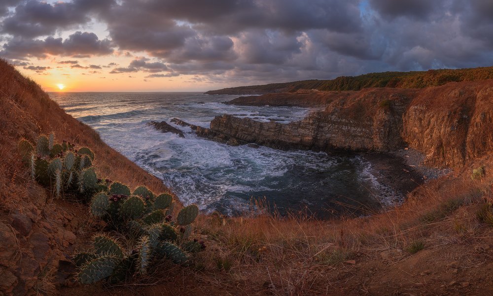 Фотография автора U-235