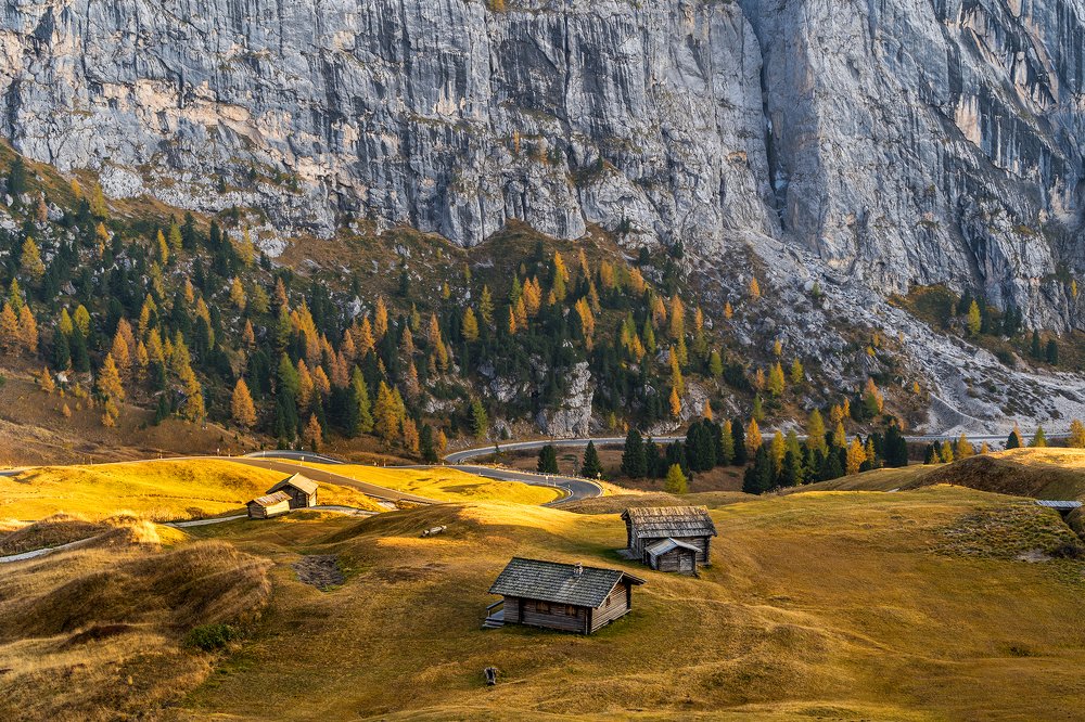 Photograph by Лариса Николаевна Дука