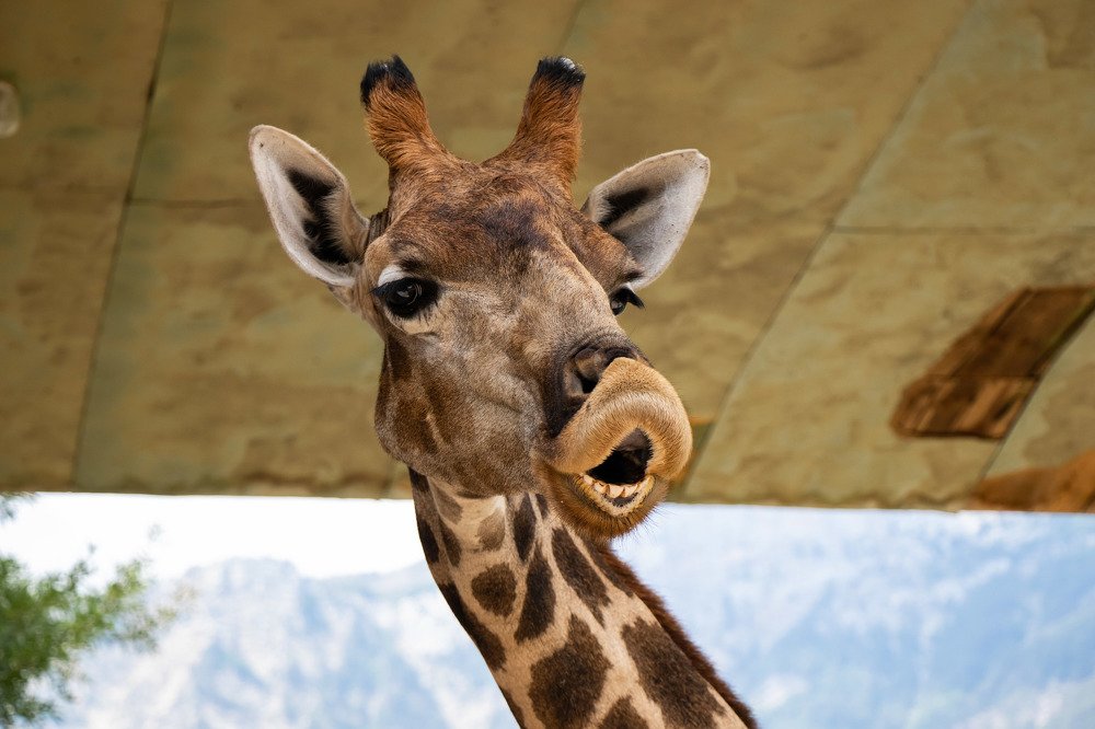 Photograph by Татьяна Новикова