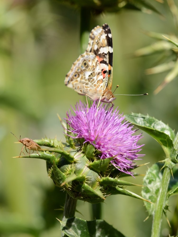 Photograph by Игорь