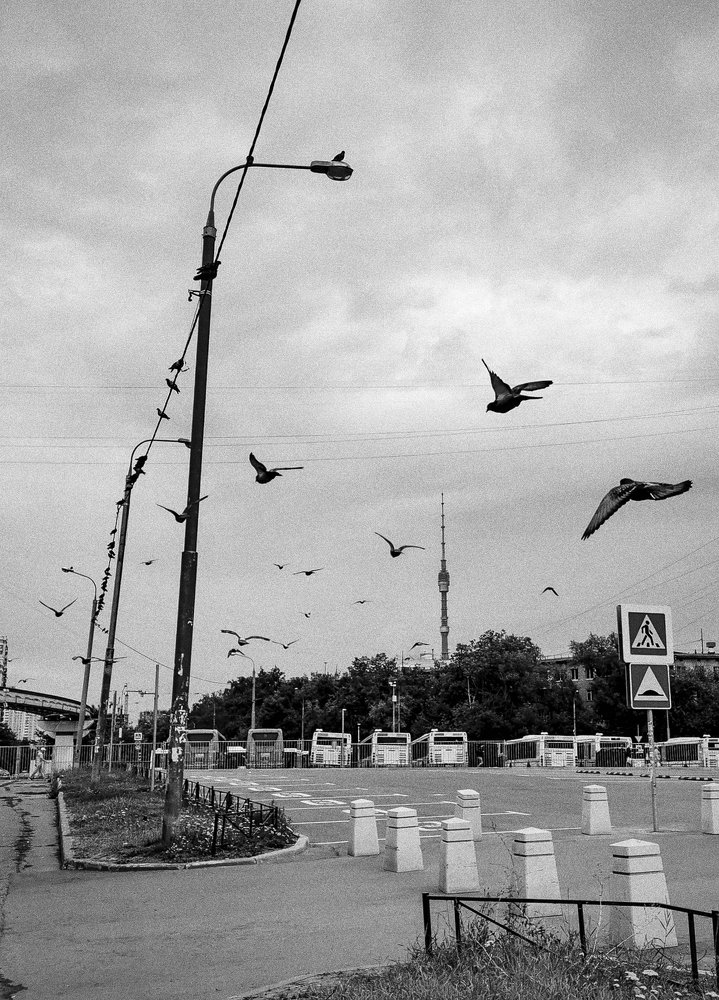 Photograph by Евгения Булычёва