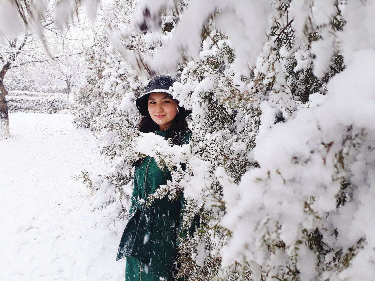 Photo #4258176