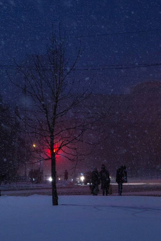 Photograph by Евгения Булычёва