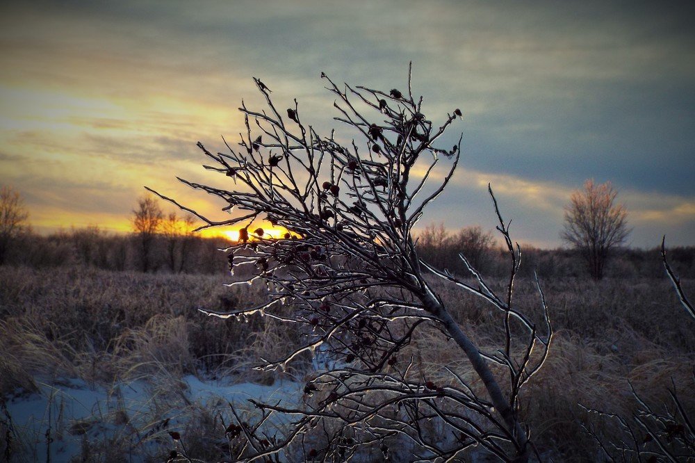 Фотография автора Виктор Конев