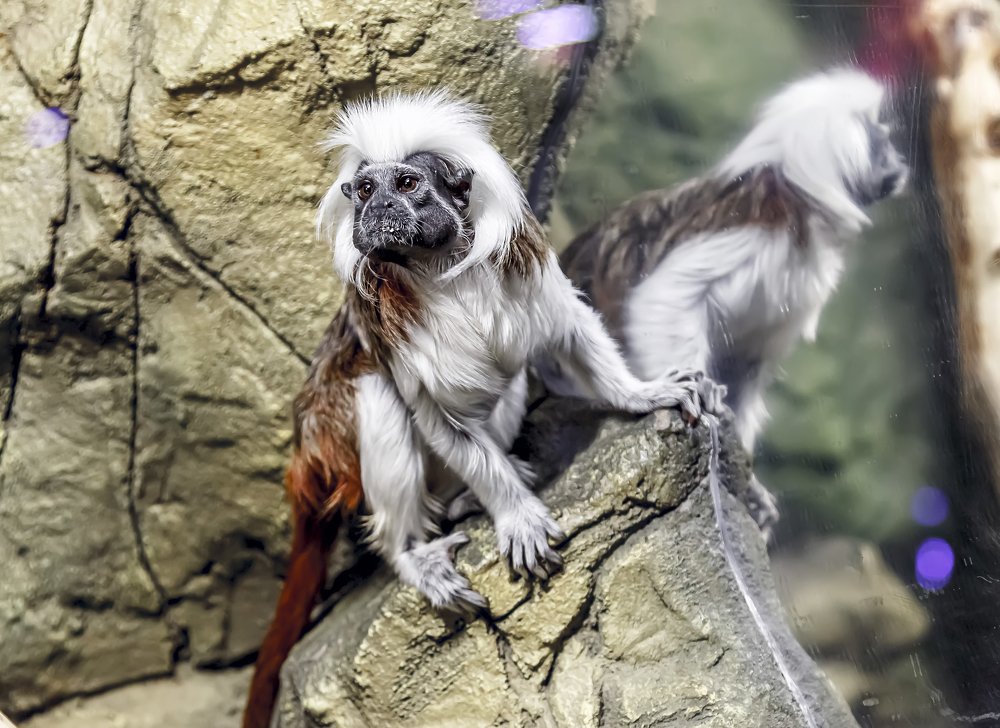 Фотография автора Дмитрий Морозов