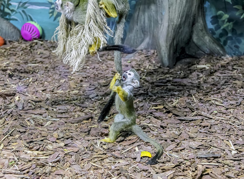 Фотография автора Дмитрий Морозов