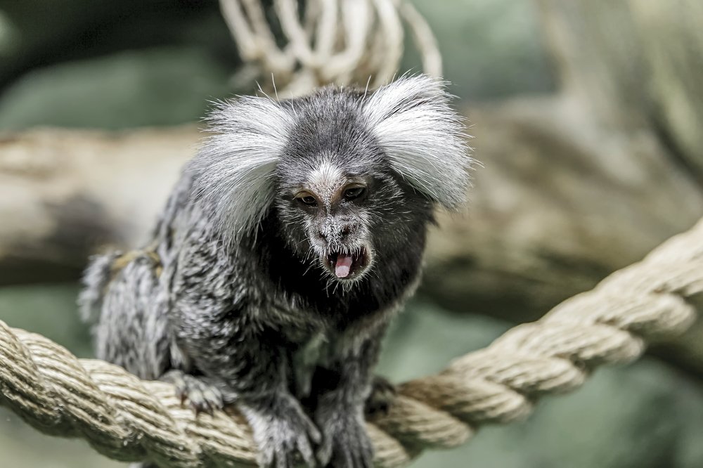 Фотография автора Дмитрий Морозов