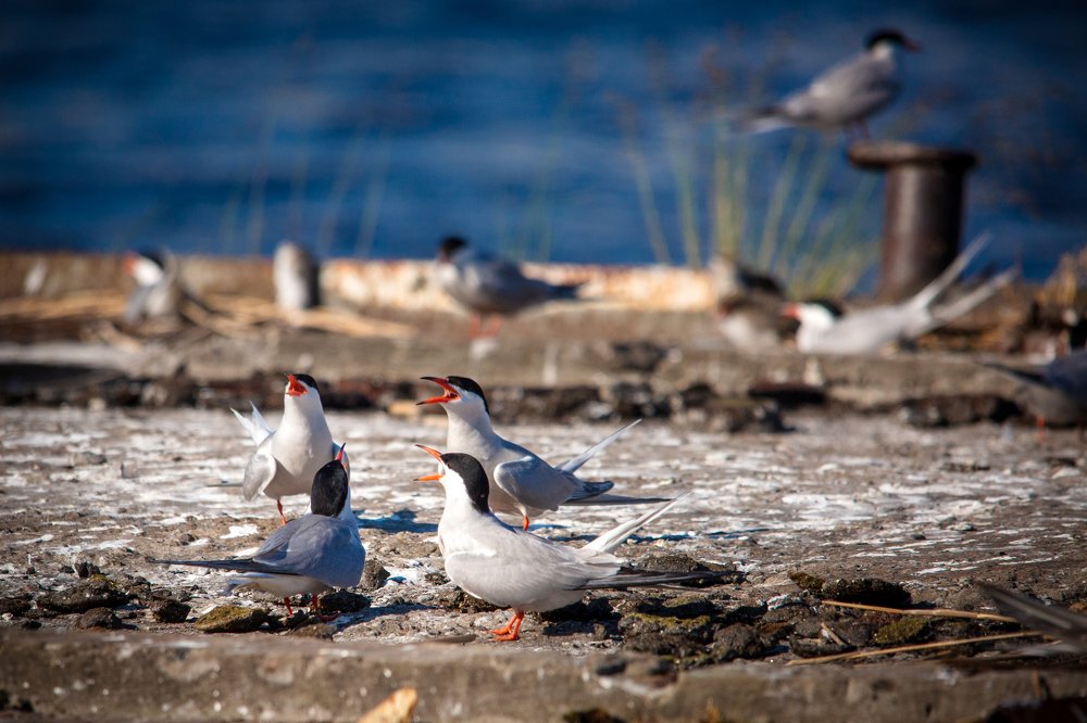 Photograph by Денис Ремпель