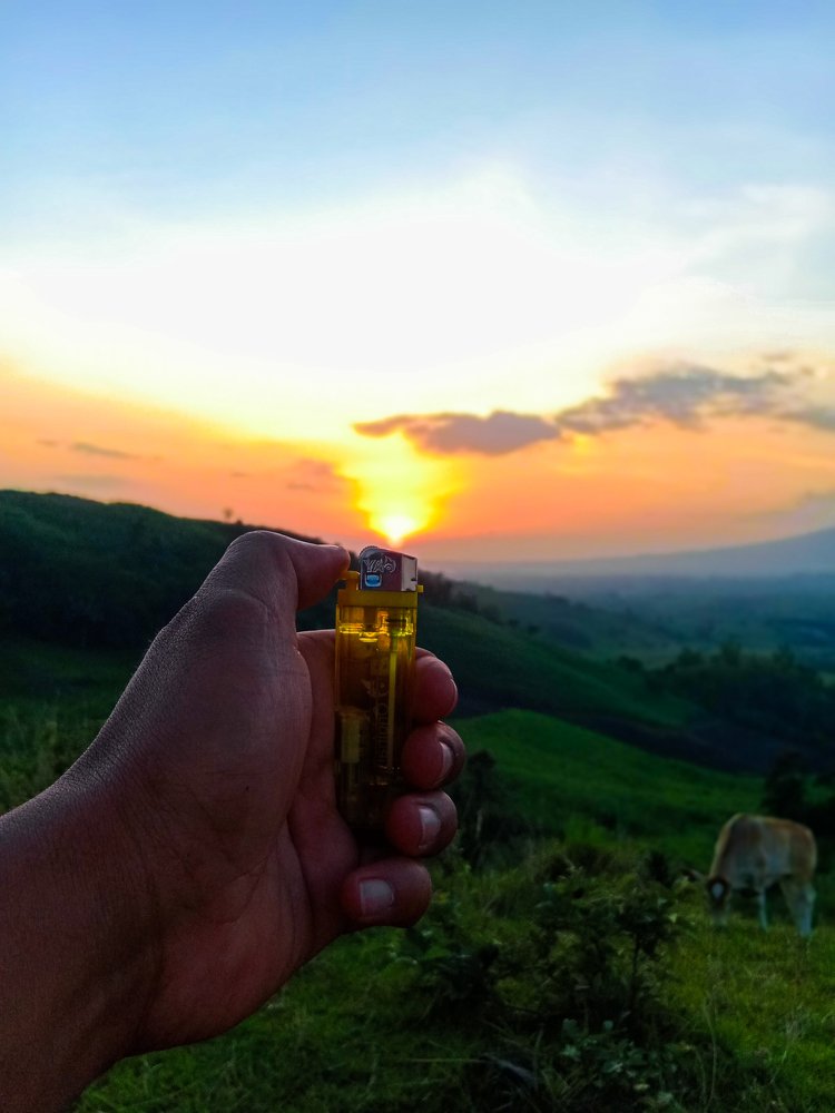 FIRE UP