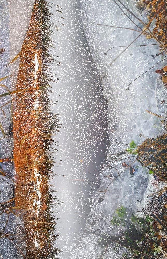 Photograph by Алексина Алексина