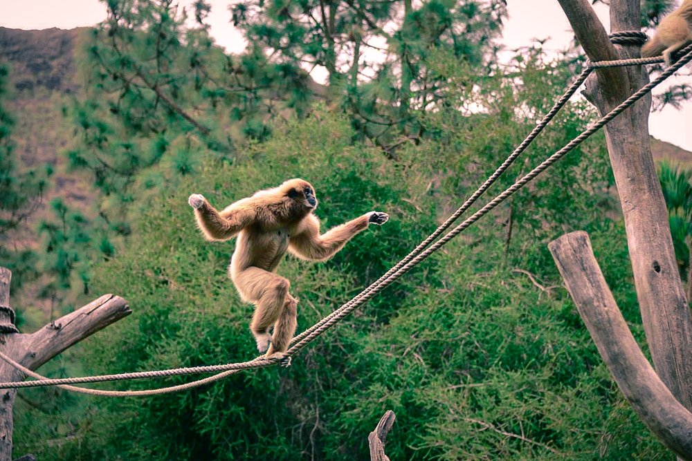 Фотография автора Anna NovaLova