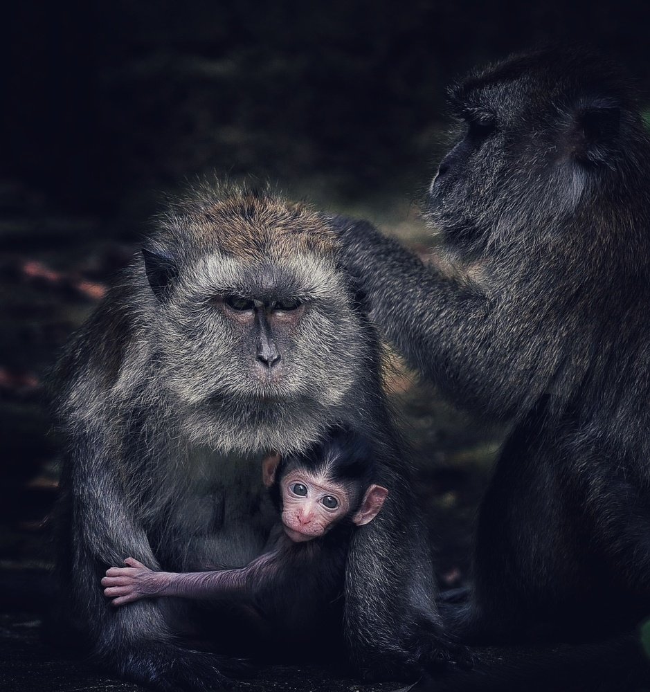 Photograph by Muhammad Faishol Husni