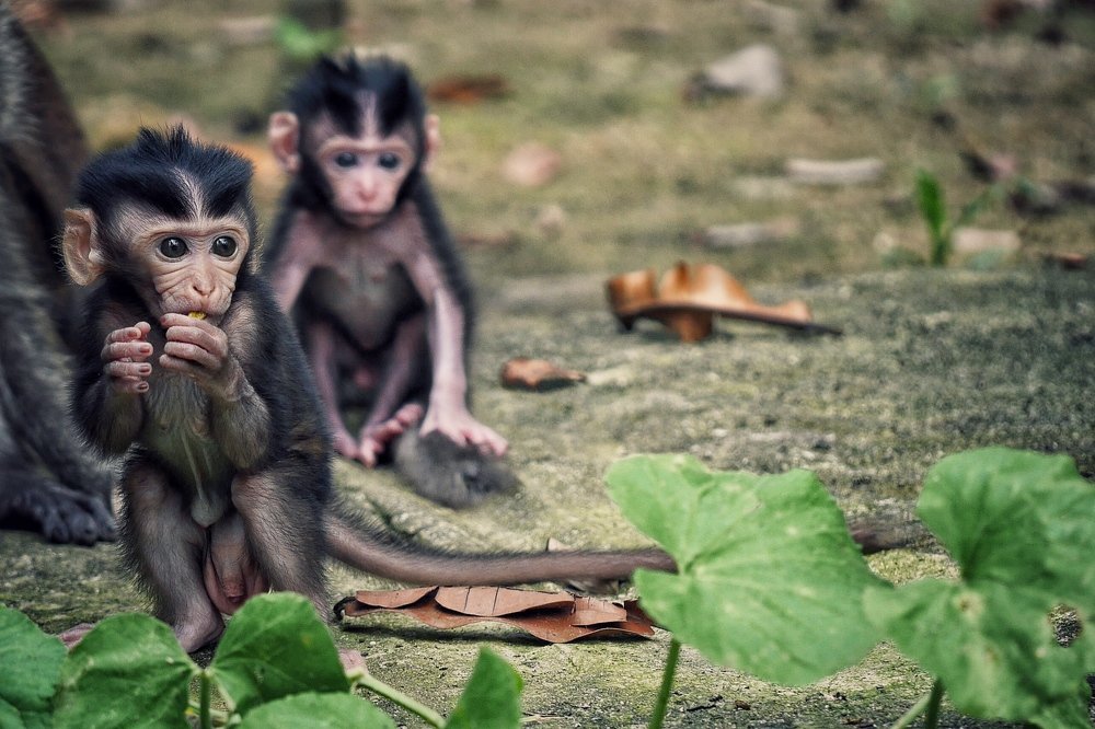 Photograph by Muhammad Faishol Husni