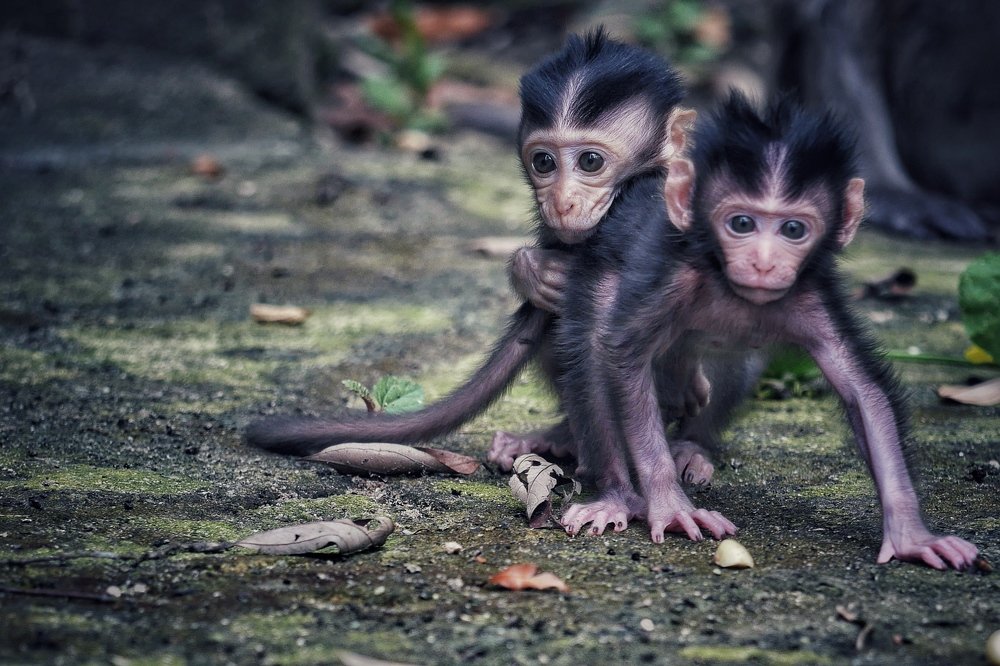 Photograph by Muhammad Faishol Husni