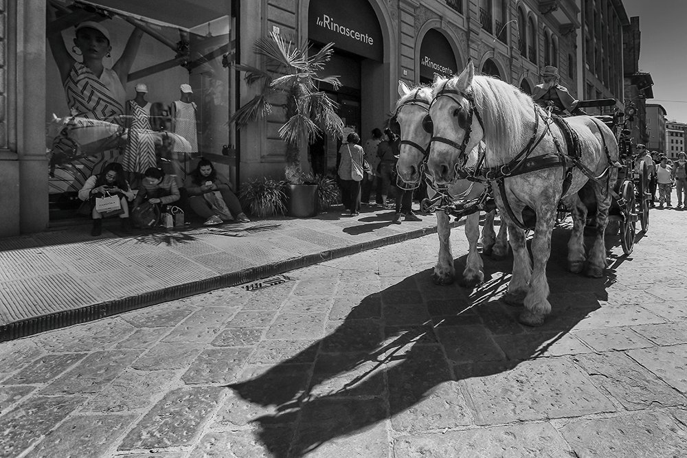 Photograph by Ana Vlahov