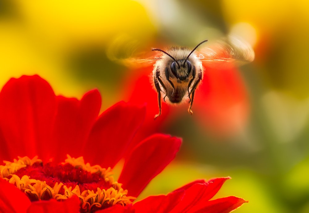 Photograph by Татьяна Москальчук