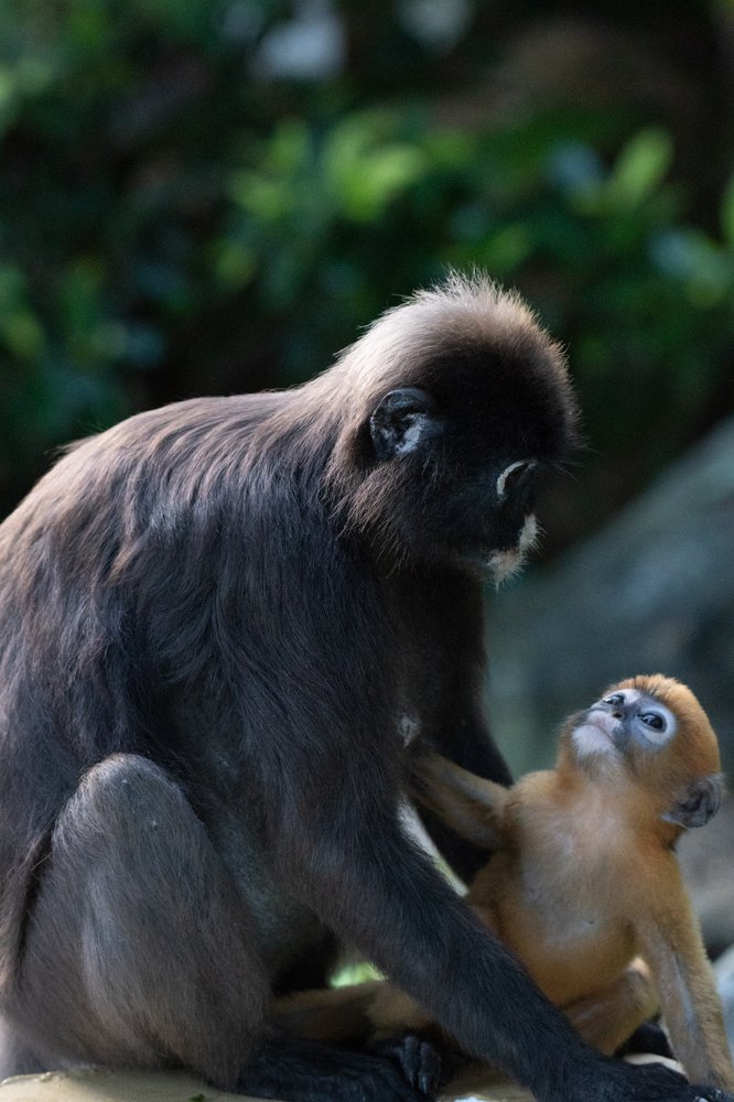 Photograph by Сергей Сыресин